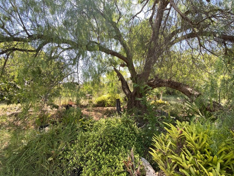 8367 D’Aguilar Highway, Moore QLD 4306