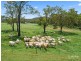 601 Glenhowden Road, Colinton QLD 4306