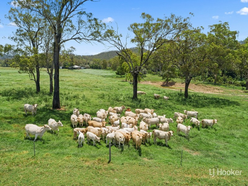 601 Glenhowden Road, Colinton QLD 4306