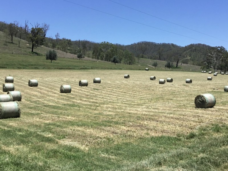 601 Glenhowden Road, Colinton QLD 4306