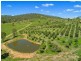 460 Turtle Creek Road, Harlin QLD 4306