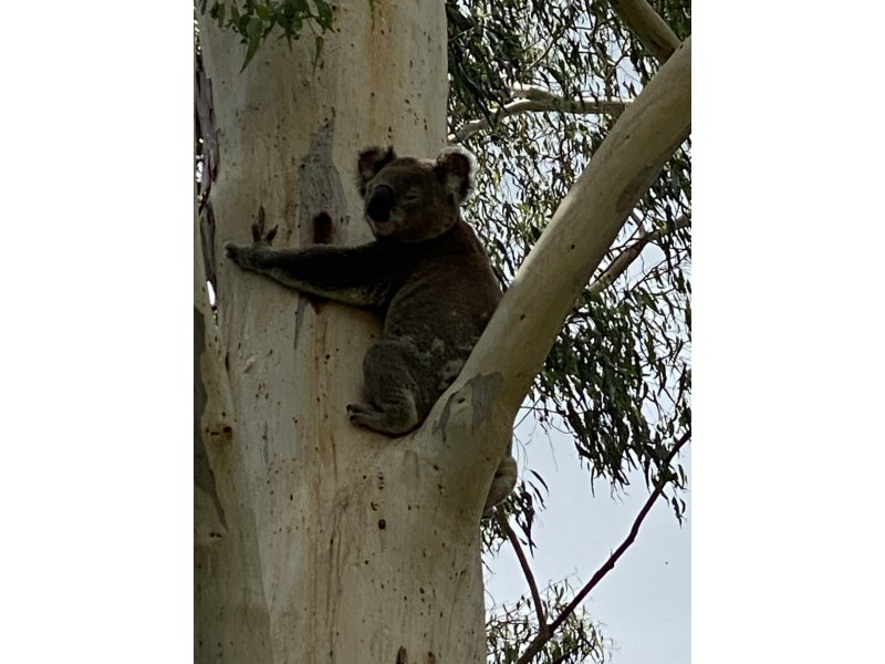 Lot 9 First Avenue, Somerset Dam QLD 4312