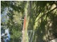 Lot 9 First Avenue, Somerset Dam QLD 4312