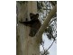 Lot 9 First Avenue, Somerset Dam QLD 4312