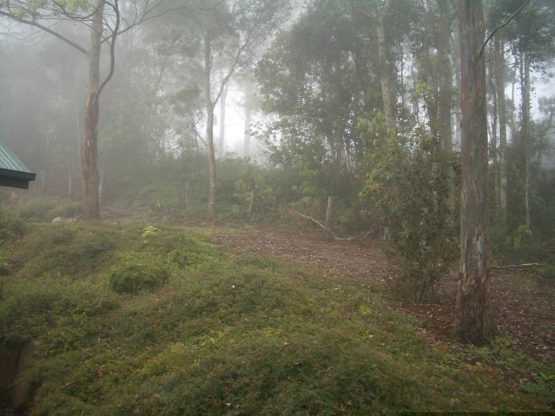 Lot 231 3143 Esk Hampton Road, Ravensbourne QLD 4352