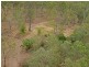 357 Larsens road, Coominya QLD 4311