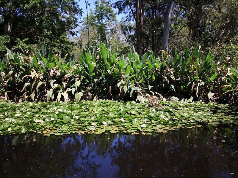 Esk QLD 4312