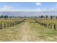 489 Mount Beppo Road, Cressbrook QLD 4313