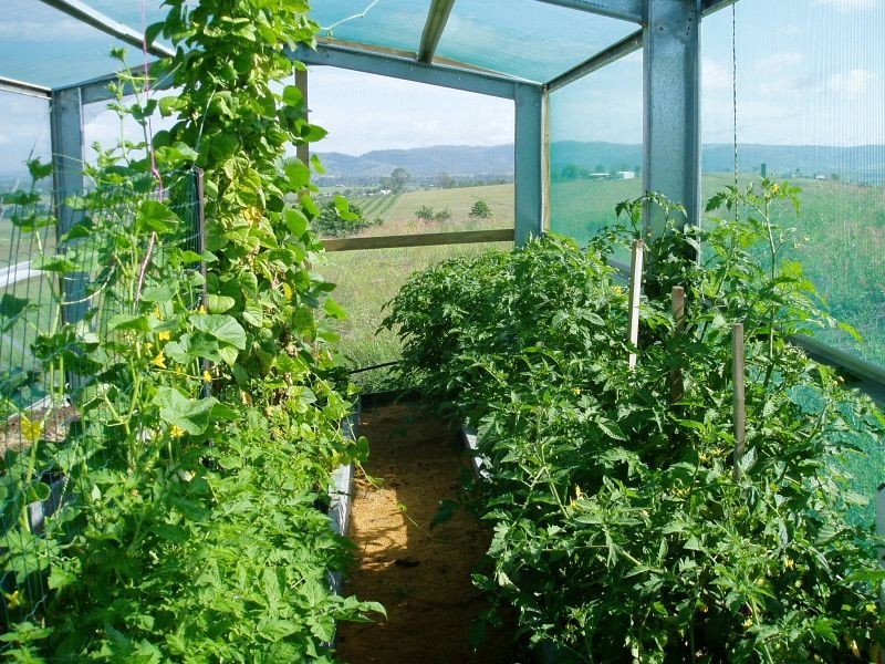 Mount Beppo QLD 4313