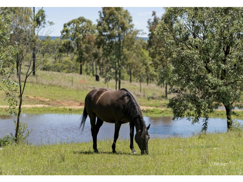 62 Wild Deer Drive, Taromeo QLD 4306