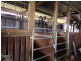 Mount Beppo QLD 4313