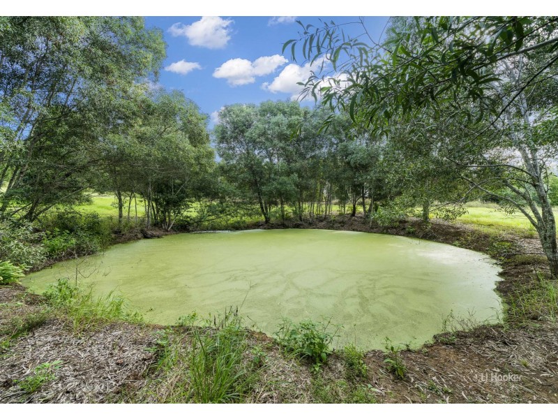 97 David Road, Taromeo QLD 4306