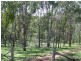 Acland QLD 4401