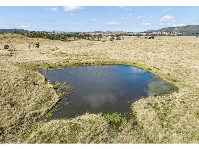 Lot 116 & Grieves Road, Harlin QLD 4306