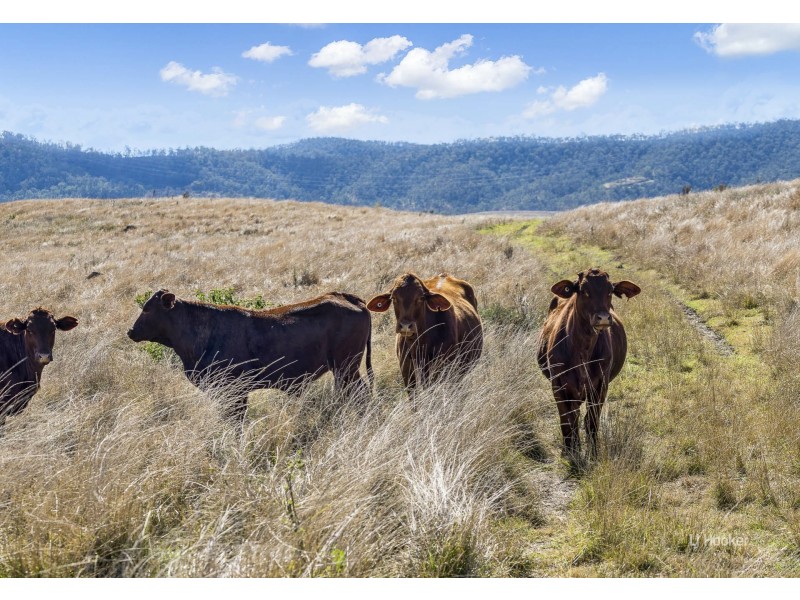 Lot 116 & Grieves Road, Harlin QLD 4306