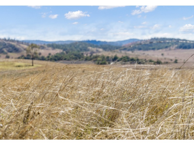 Lot 116 & Grieves Road, Harlin QLD 4306