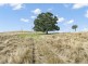 Lot 116 & Grieves Road, Harlin QLD 4306