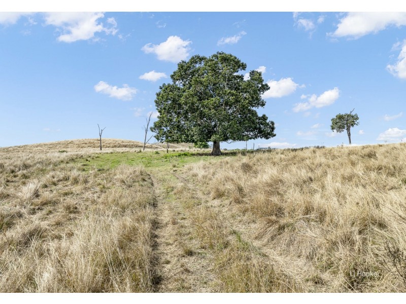 Lot 116 & Grieves Road, Harlin QLD 4306