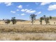 Lot 116 & Grieves Road, Harlin QLD 4306