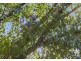 Lot 1 Alpine Court, Esk QLD 4312