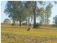 1043 Old Esk Road, Taromeo QLD 4306