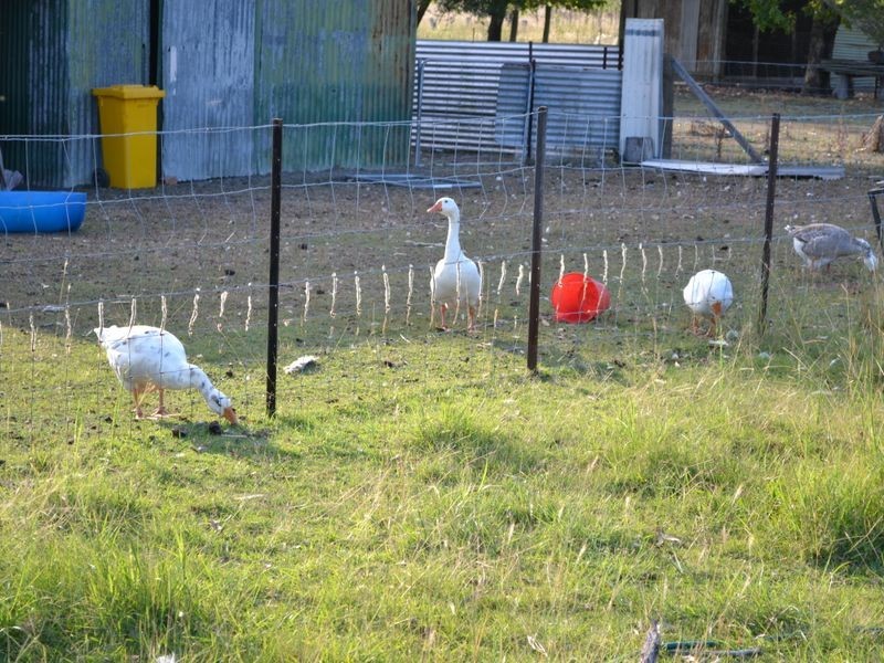 Biarra QLD 4313