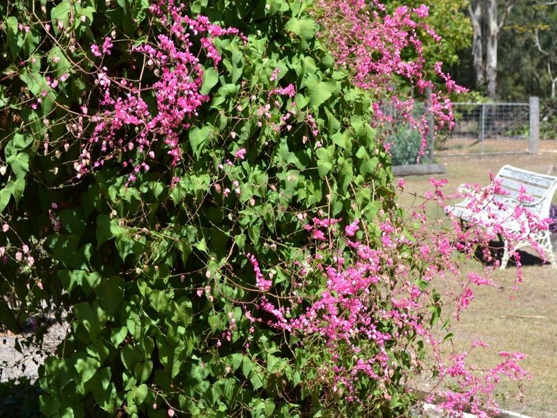 242 Esk Hampton Road, Esk QLD 4312