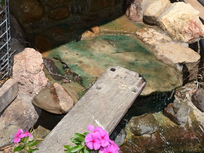 242 Esk Hampton Road, Esk QLD 4312