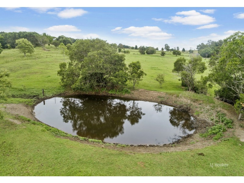 59 David Road, Taromeo QLD 4306