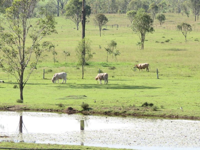 Toogoolawah QLD 4313