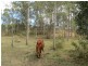 Biarra QLD 4313
