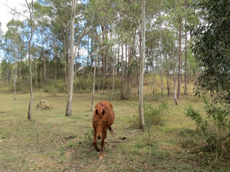 Biarra QLD 4313