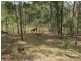 Biarra QLD 4313