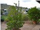 Coal Creek QLD 4312