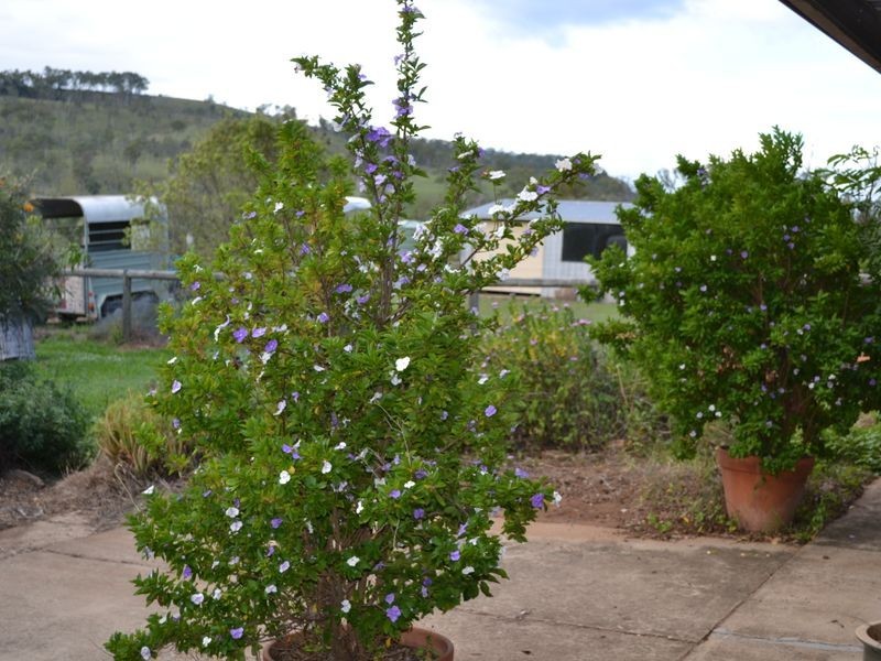 Coal Creek QLD 4312
