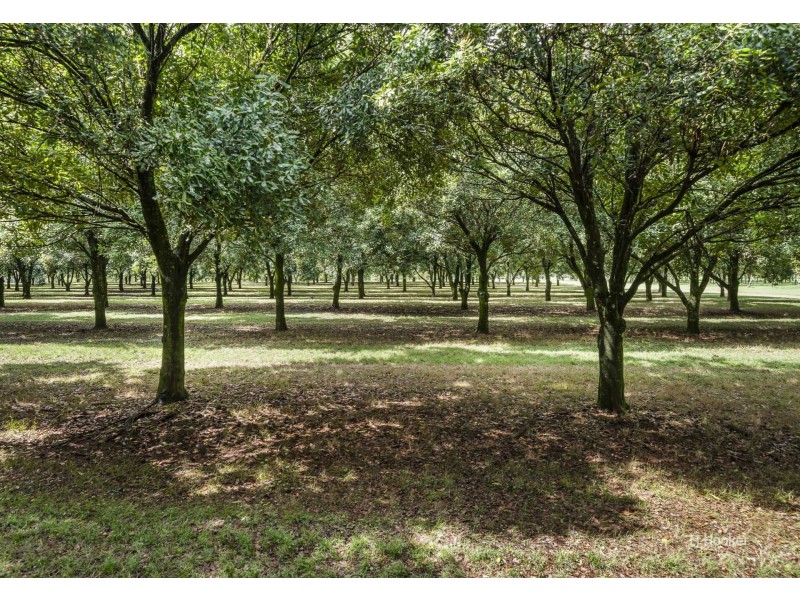 Lot 11 Ogilvie Road, Blackbutt South QLD 4306
