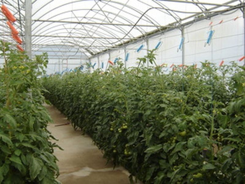 Mount Hallen QLD 4312