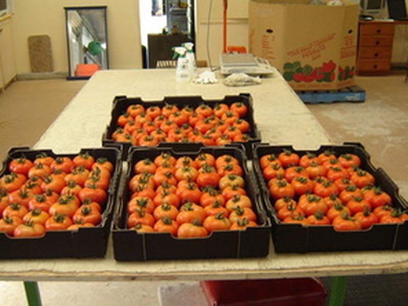 Mount Hallen QLD 4312