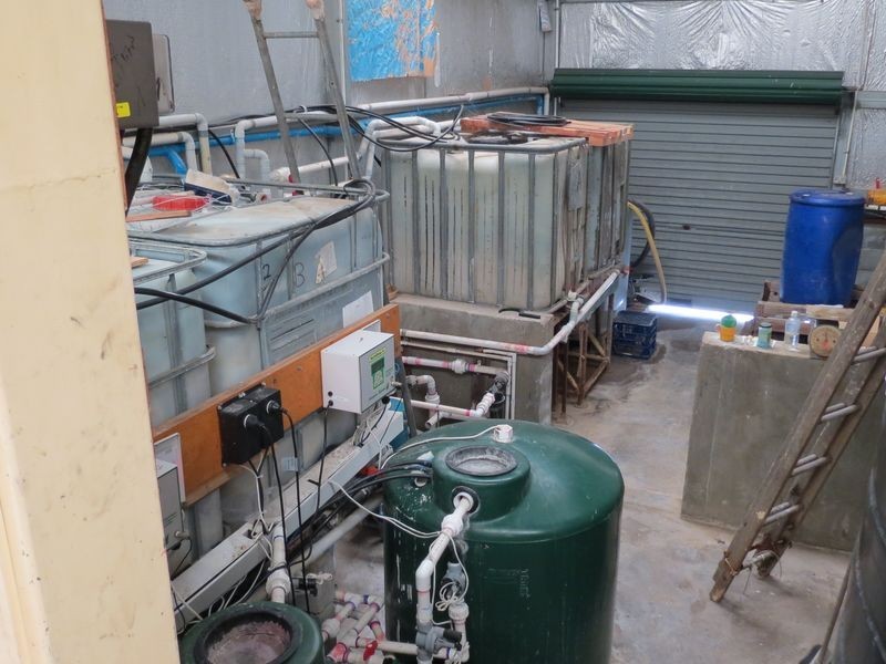 Mount Hallen QLD 4312