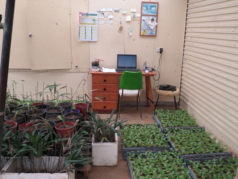 Mount Hallen QLD 4312