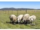 662 Cressbrook-Caboonbah Road, Cressbrook QLD 4313