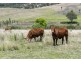 98 Angledale Lane, Toogoolawah QLD 4313