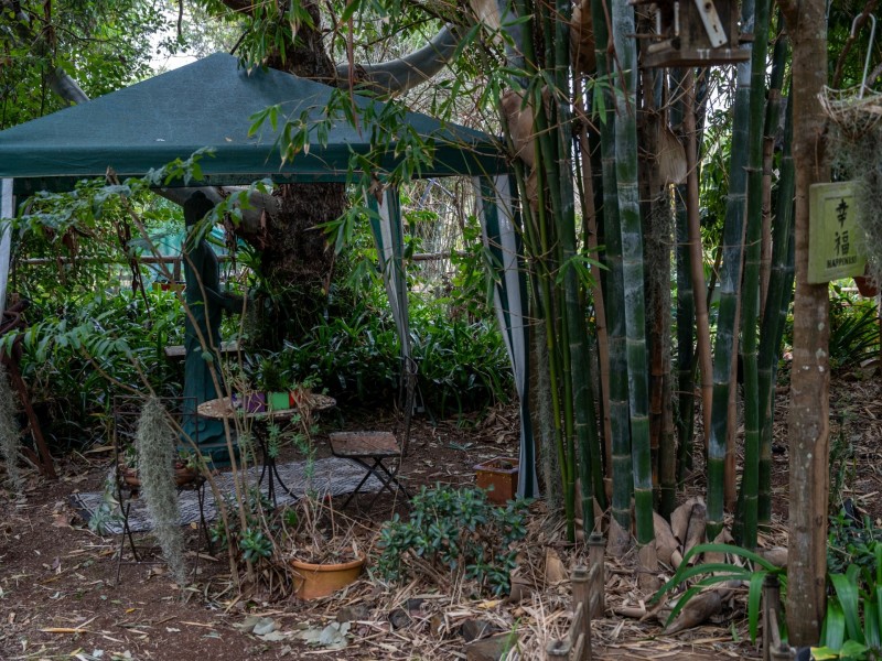 61 Blackbutt Crows Nest Road, Blackbutt South QLD 4306
