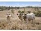Lot 1 & 34 D’Aguilar Highway, Yarraman QLD 4614