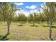 Lot 12 Ogilvie Road, Blackbutt South QLD 4306