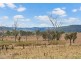 319 Glenhowden Road, Harlin QLD 4306