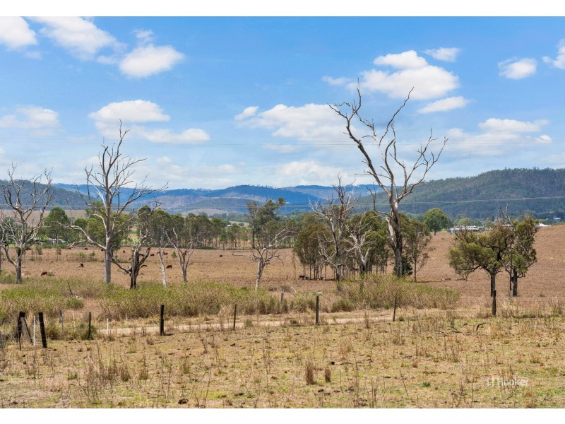 319 Glenhowden Road, Harlin QLD 4306