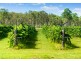 387 Gregors Creek Road, Gregors Creek QLD 4313