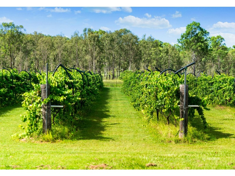 387 Gregors Creek Road, Gregors Creek QLD 4313