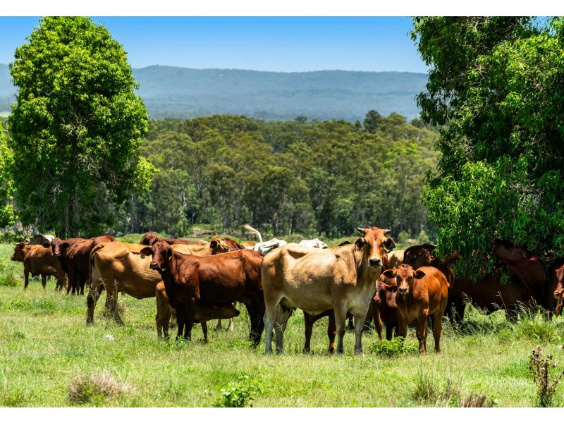 456 Rocky Gully Road, Coominya QLD 4311